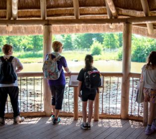 Three young carers and a Young Carers worker stand in a covered wooden viewing shelter at Slimbridge Wetland Centre, looking out over a pond and surrounding wetland. All are wearing backpacks, and interpretation panels are positioned along the railin